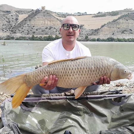 R U Ready Fishing, River Ebro Mequinenza Eksteriør bilde