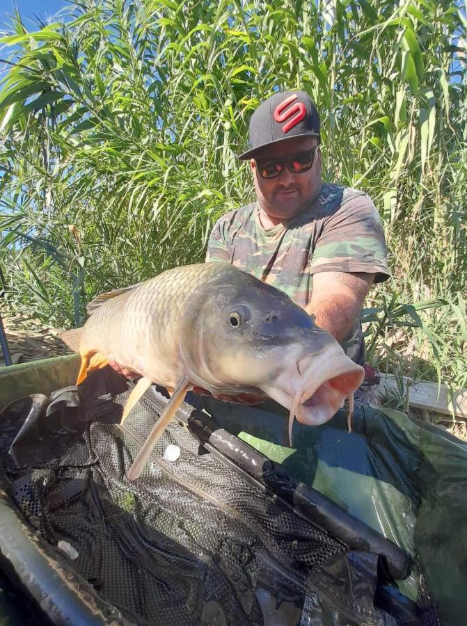 R U Ready Fishing, River Ebro Mequinenza Eksteriør bilde