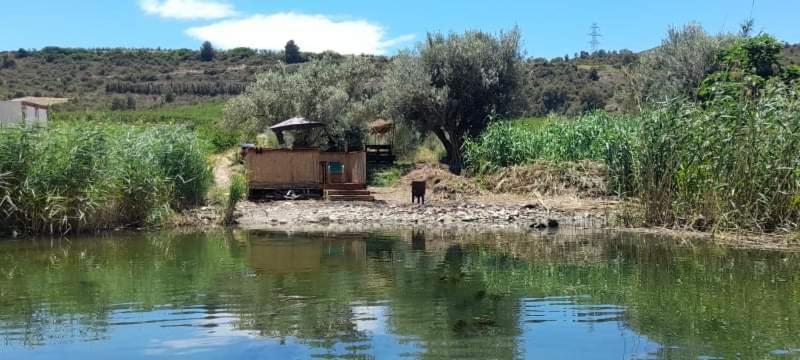R U Ready Fishing, River Ebro Mequinenza Eksteriør bilde