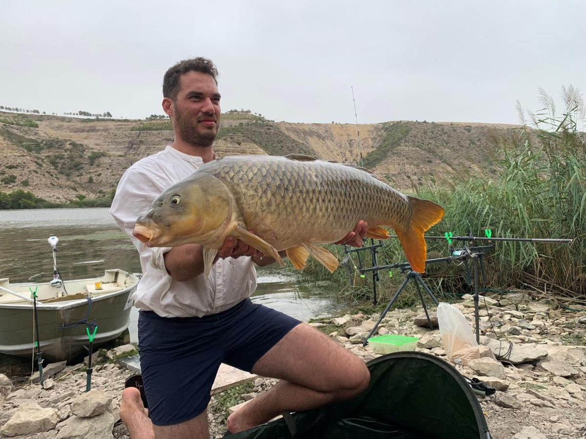 R U Ready Fishing, River Ebro Mequinenza Eksteriør bilde