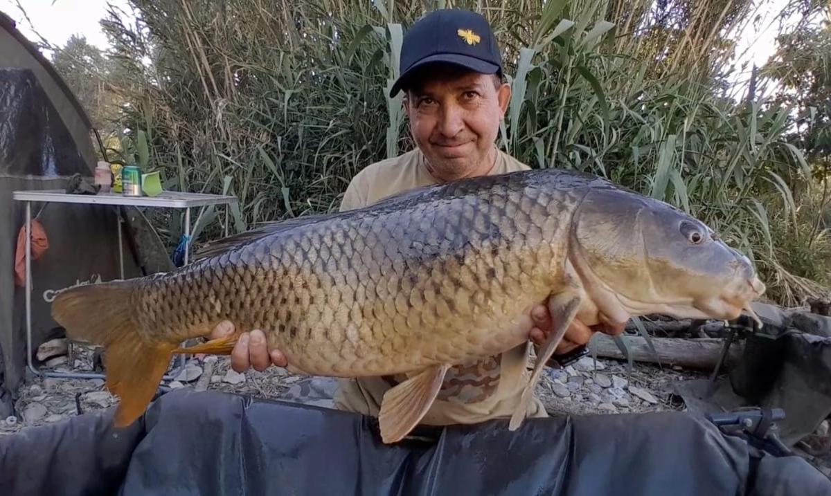R U Ready Fishing, River Ebro Mequinenza Eksteriør bilde