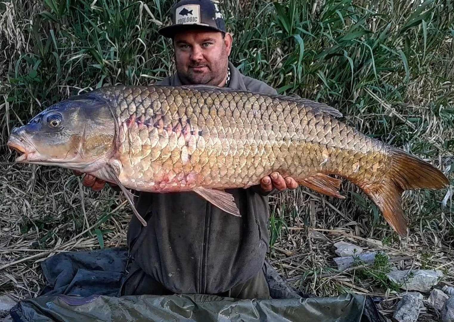 R U Ready Fishing, River Ebro Mequinenza Eksteriør bilde