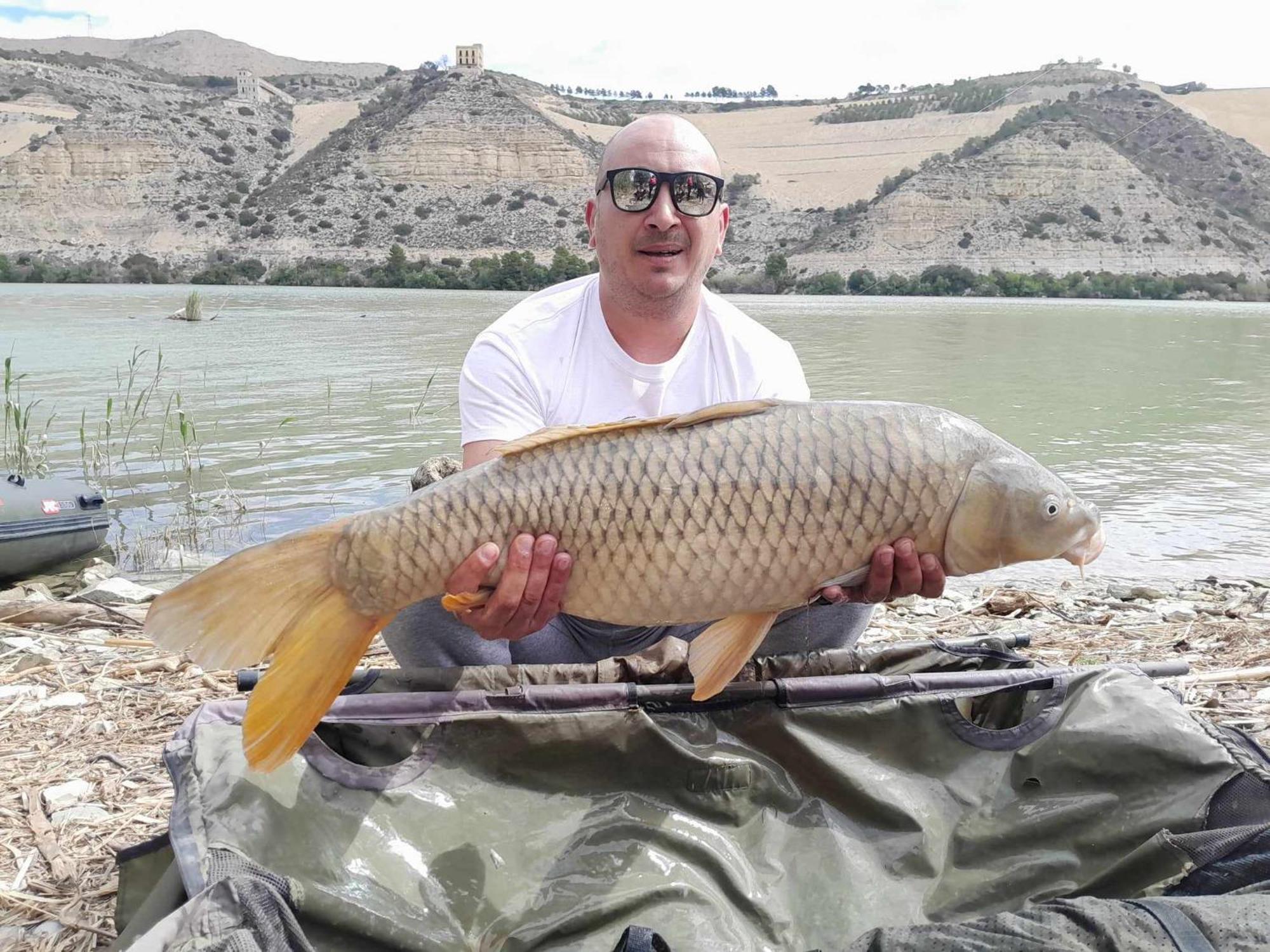 R U Ready Fishing, River Ebro Mequinenza Eksteriør bilde